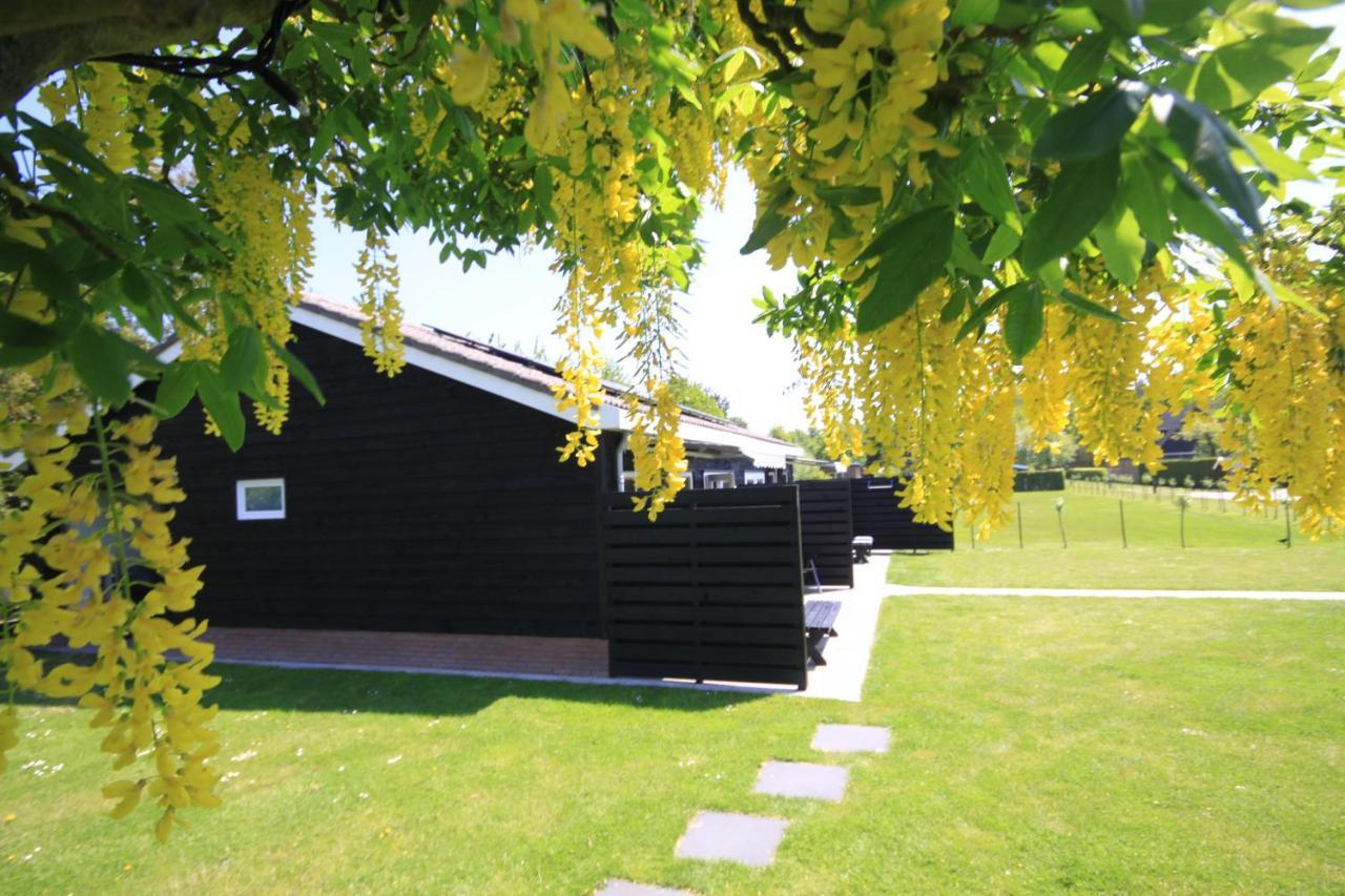 B&B Beach&Bos Oostvoorne Exterior foto